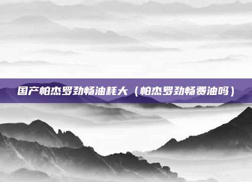 国产帕杰罗劲畅油耗大(帕杰罗劲畅费油吗)