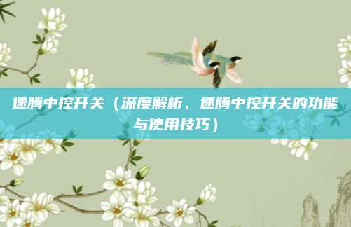 速腾中控开关（深度解析，速腾中控开关的功能与使用技巧）