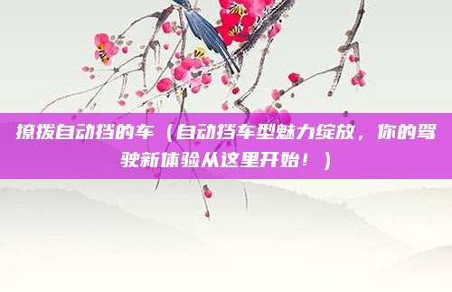 撩拨自动挡的车（自动挡车型魅力绽放，你的驾驶新体验从这里开始！）