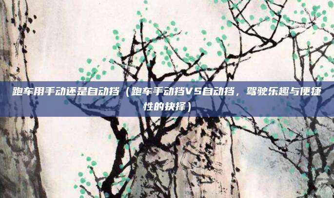跑车用手动还是自动挡（跑车手动挡VS自动挡，驾驶乐趣与便捷性的抉择）