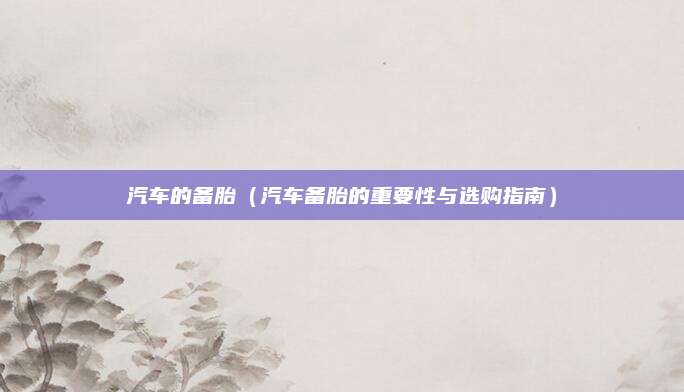 汽车的备胎（汽车备胎的重要性与选购指南）