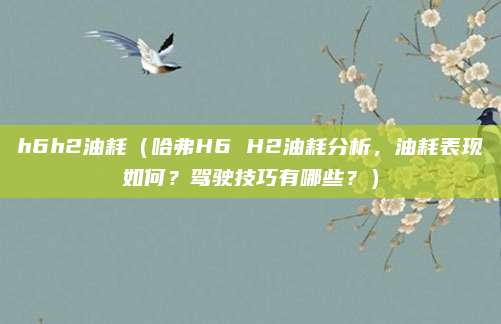 h6h2油耗（哈弗H6 H2油耗分析，油耗表现如何？驾驶技巧有哪些？）