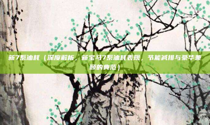 新7系油耗（深度解析，新宝马7系油耗表现，节能减排与豪华兼顾的典范）