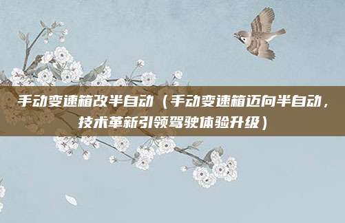手动变速箱改半自动（手动变速箱迈向半自动，技术革新引领驾驶体验升级）