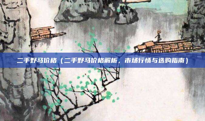 二手野马价格（二手野马价格解析，市场行情与选购指南）
