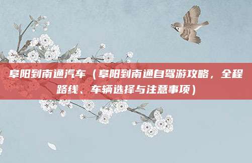 阜阳到南通汽车（阜阳到南通自驾游攻略，全程路线、车辆选择与注意事项）