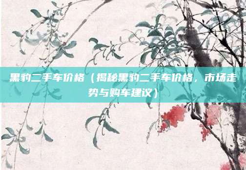 黑豹二手车价格（揭秘黑豹二手车价格，市场走势与购车建议）