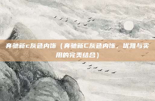 奔驰新c灰色内饰（奔驰新C灰色内饰，优雅与实用的完美结合）