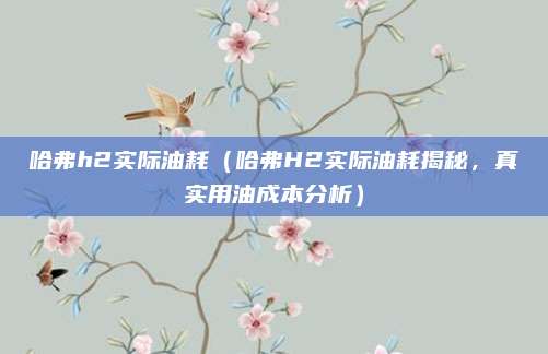 哈弗h2实际油耗（哈弗H2实际油耗揭秘，真实用油成本分析）