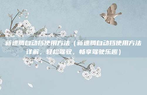 新速腾自动挡使用方法（新速腾自动挡使用方法详解，轻松驾驭，畅享驾驶乐趣）
