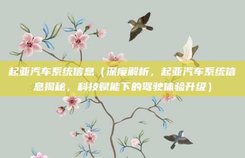 起亚汽车系统信息（深度解析，起亚汽车系统信息揭秘，科技赋能下的驾驶体验升级）