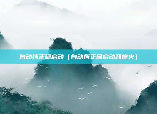 自动挡正确启动(自动挡正确启动和熄火)