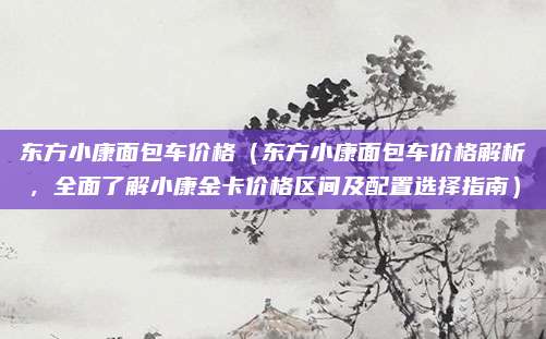 东方小康面包车价格（东方小康面包车价格解析，全面了解小康金卡价格区间及配置选择指南）