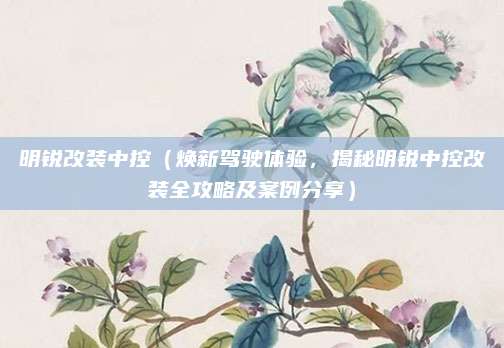 明锐改装中控（焕新驾驶体验，揭秘明锐中控改装全攻略及案例分享）