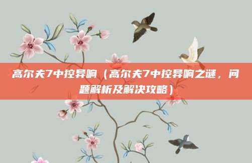 高尔夫7中控异响（高尔夫7中控异响之谜，问题解析及解决攻略）