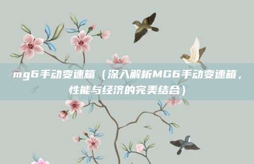 mg6手动变速箱（深入解析MG6手动变速箱，性能与经济的完美结合）