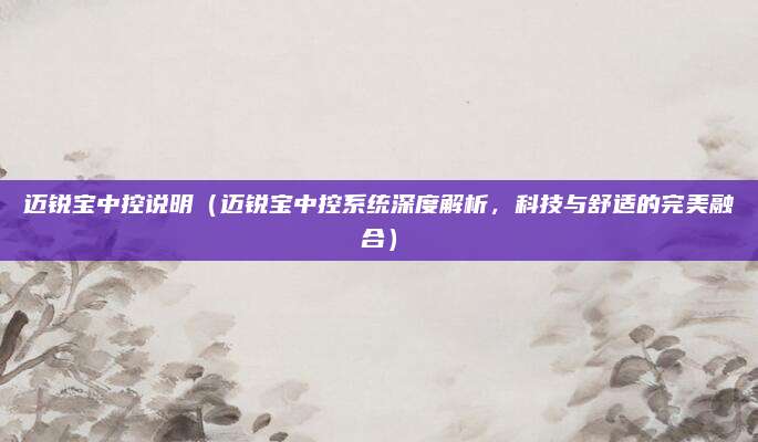 迈锐宝中控说明（迈锐宝中控系统深度解析，科技与舒适的完美融合）