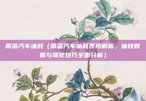雨燕汽车油耗（雨燕汽车油耗表现解析，油耗数据与驾驶技巧全面分析）