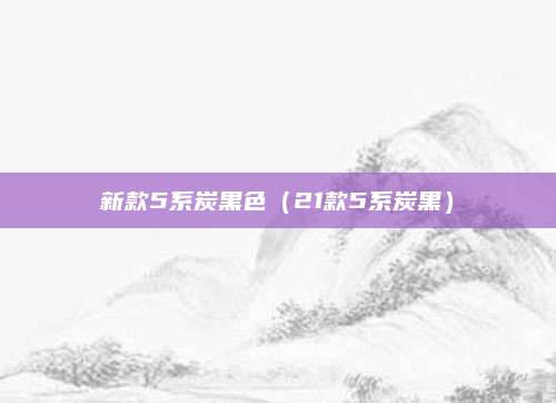 新款5系炭黑色（21款5系炭黑）