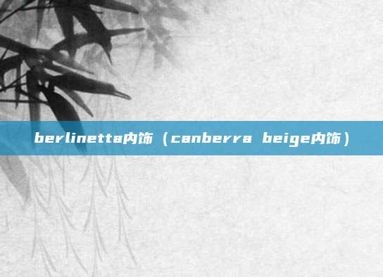 berlinetta内饰(canberra beige内饰)
