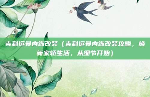 吉利远景内饰改装（吉利远景内饰改装攻略，焕新家轿生活，从细节开始）