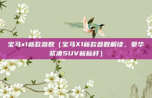 宝马x1新款参数（宝马X1新款参数解读，豪华紧凑SUV新标杆）