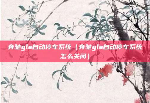 奔驰gla自动停车系统(奔驰gla自动停车系统怎么关闭)