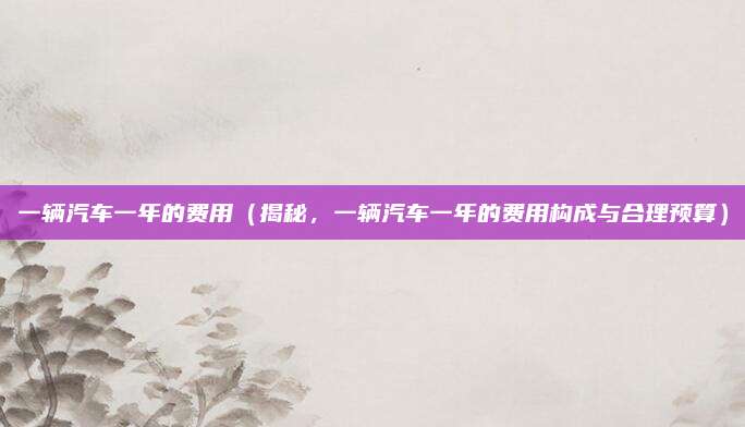 一辆汽车一年的费用（揭秘，一辆汽车一年的费用构成与合理预算）