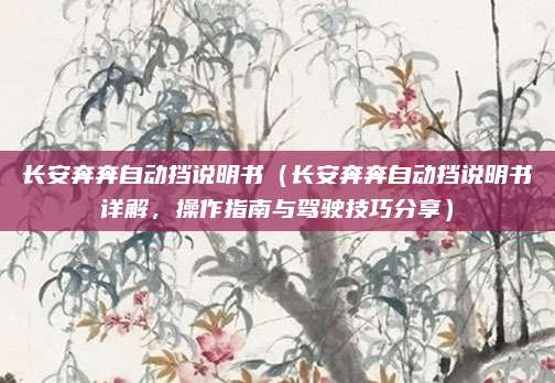 长安奔奔自动挡说明书（长安奔奔自动挡说明书详解，操作指南与驾驶技巧分享）