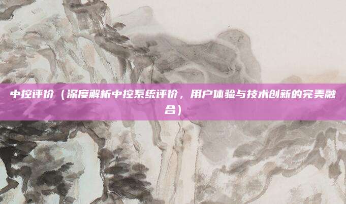 中控评价（深度解析中控系统评价，用户体验与技术创新的完美融合）