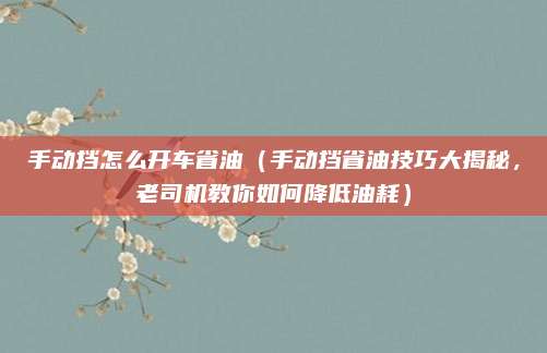 手动挡怎么开车省油（手动挡省油技巧大揭秘，老司机教你如何降低油耗）