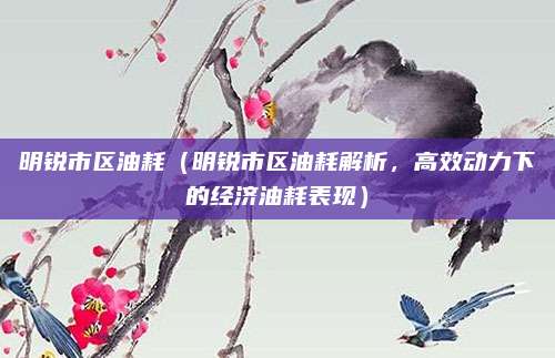 明锐市区油耗（明锐市区油耗解析，高效动力下的经济油耗表现）