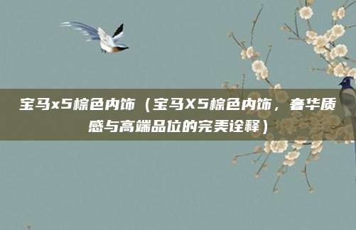 宝马x5棕色内饰（宝马X5棕色内饰，奢华质感与高端品位的完美诠释）