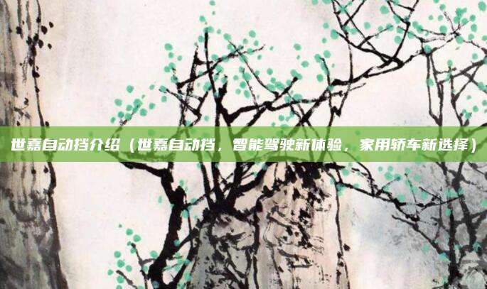 世嘉自动挡介绍（世嘉自动挡，智能驾驶新体验，家用轿车新选择）