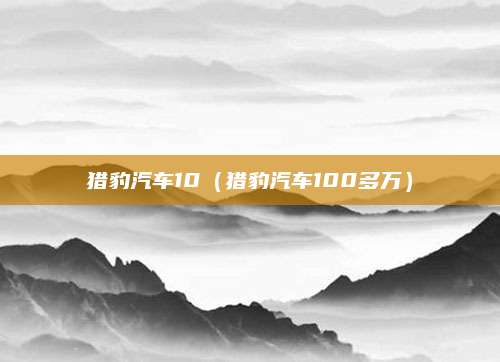 猎豹汽车10(猎豹汽车100多万)