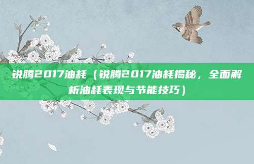 锐腾2017油耗（锐腾2017油耗揭秘，全面解析油耗表现与节能技巧）