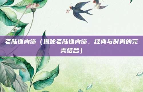 老陆巡内饰（揭秘老陆巡内饰，经典与时尚的完美结合）