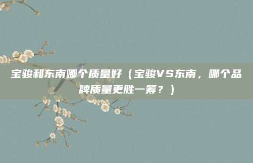 宝骏和东南哪个质量好（宝骏VS东南，哪个品牌质量更胜一筹？）