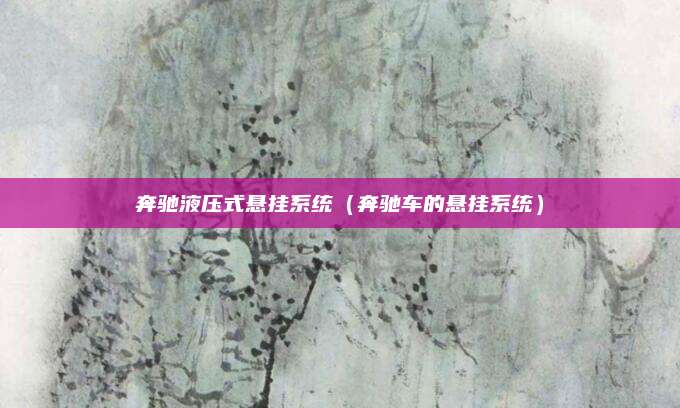 奔驰液压式悬挂系统（奔驰车的悬挂系统）