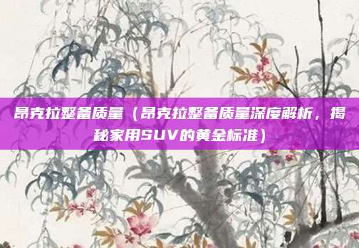 昂克拉整备质量（昂克拉整备质量深度解析，揭秘家用SUV的黄金标准）