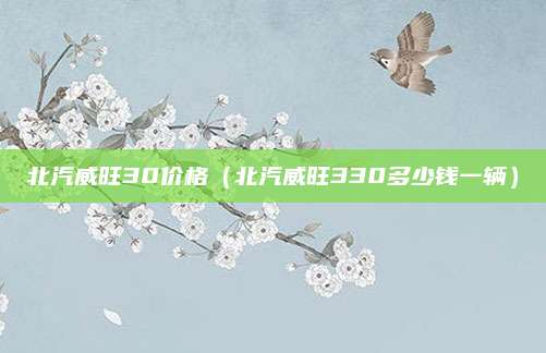 北汽威旺30价格(北汽威旺330多少钱一辆)