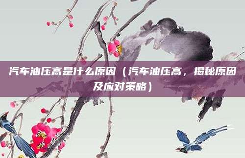 汽车油压高是什么原因（汽车油压高，揭秘原因及应对策略）