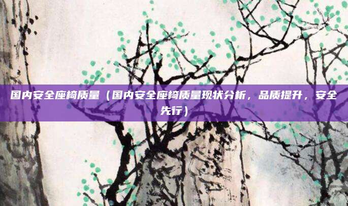 国内安全座椅质量（国内安全座椅质量现状分析，品质提升，安全先行）
