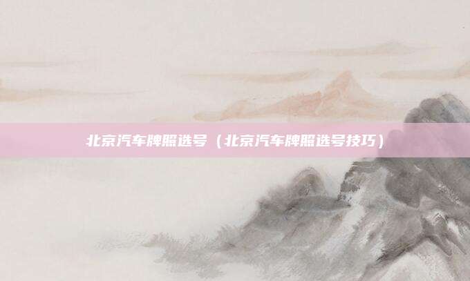 北京汽车牌照选号(北京汽车牌照选号技巧)