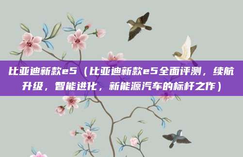 比亚迪新款e5（比亚迪新款e5全面评测，续航升级，智能进化，新能源汽车的标杆之作）