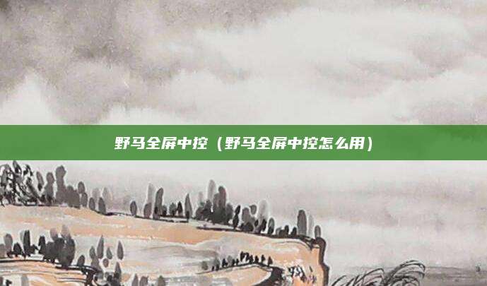 野马全屏中控(野马全屏中控怎么用)