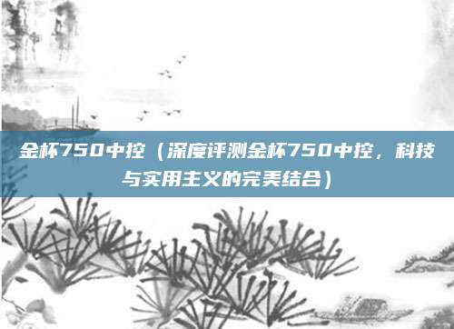 金杯750中控（深度评测金杯750中控，科技与实用主义的完美结合）
