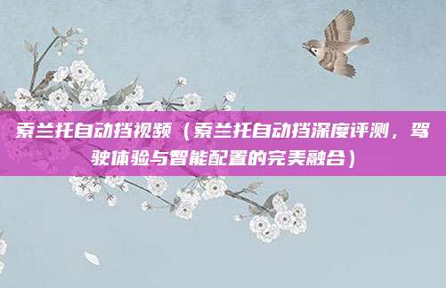 索兰托自动挡视频（索兰托自动挡深度评测，驾驶体验与智能配置的完美融合）