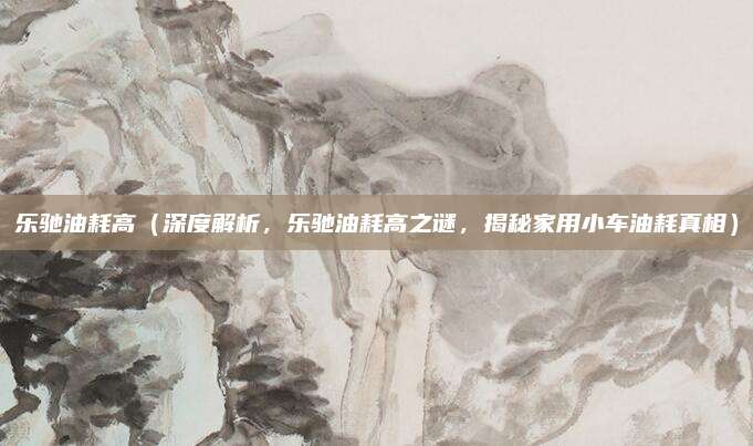 乐驰油耗高（深度解析，乐驰油耗高之谜，揭秘家用小车油耗真相）