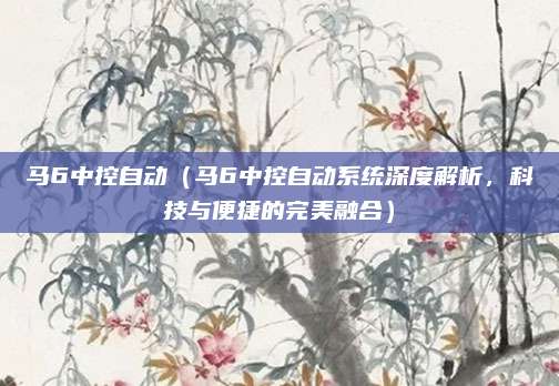 马6中控自动（马6中控自动系统深度解析，科技与便捷的完美融合）